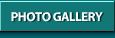 Photo Gallery